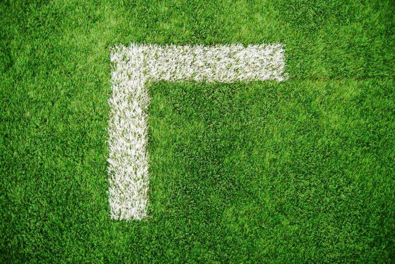 Ein Foto eines satten grünen Rasens mit einer weißen eingezeichneten Ecke. Dies ist ein Symbol für Begrenzungen.