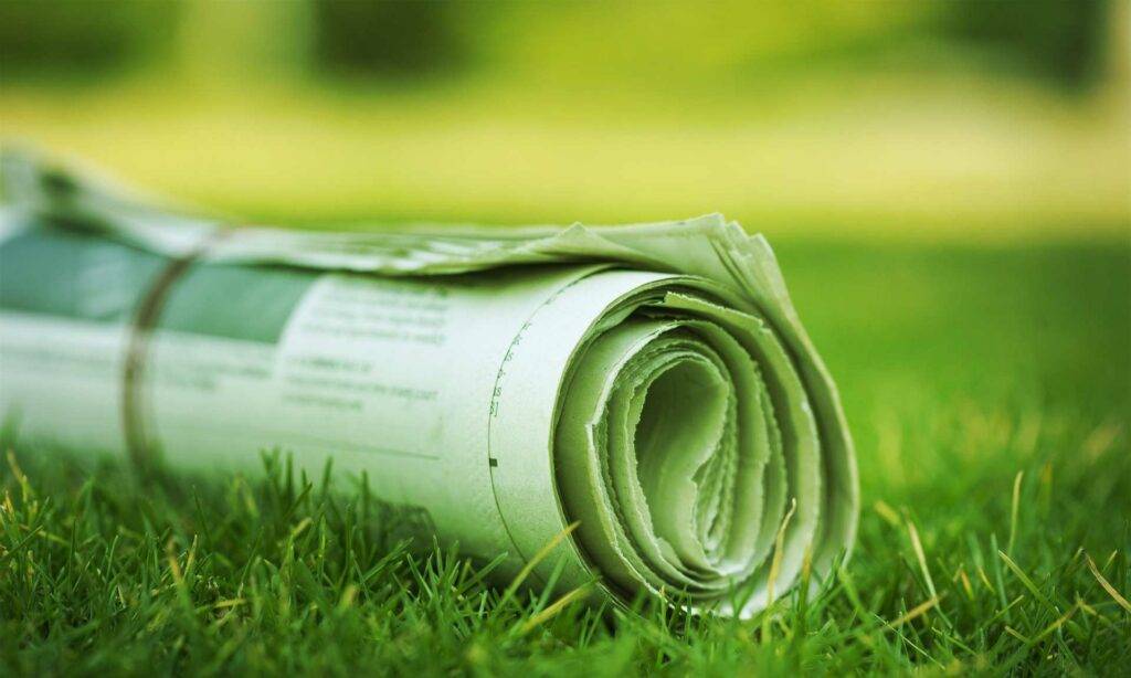 Ein Bild von einer zusammengerollten Zeitung die im grünen Gras liegt. Es steht für Neuigkeiten.