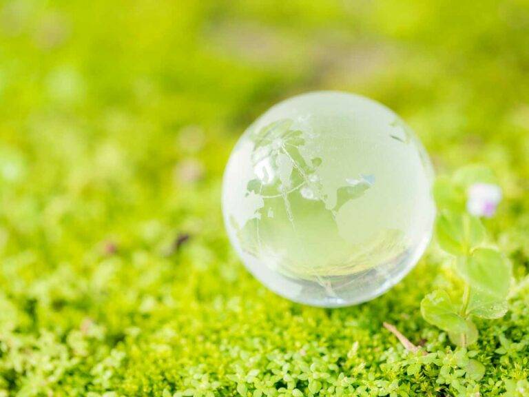 Ein Bild von einer durchsichtigen Weltkugel die im grünen Gras liegt.